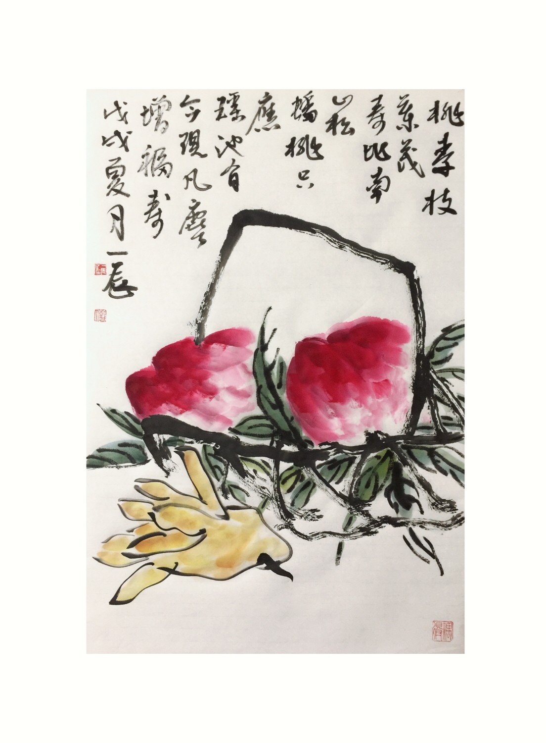 李一辰花鸟画作品《双寿》