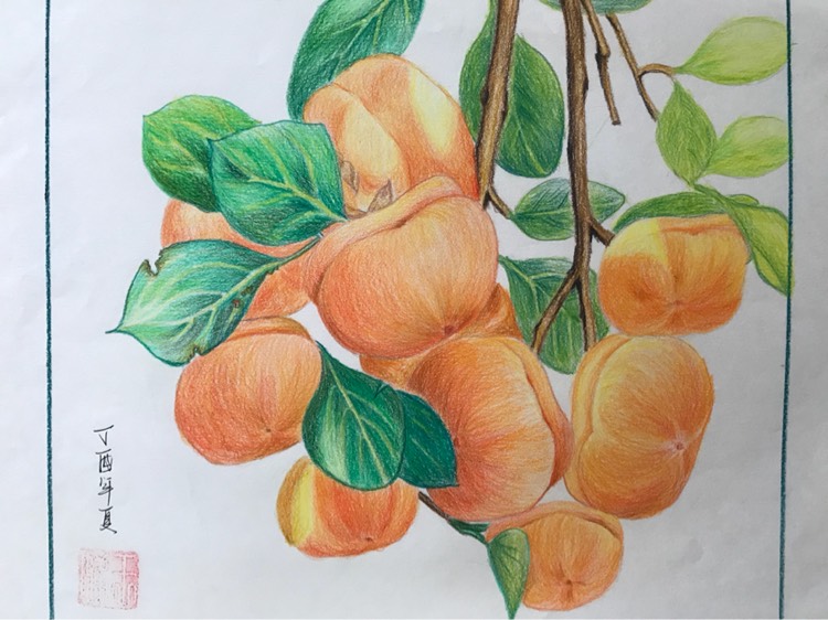 晴薇静物画《十全十美》