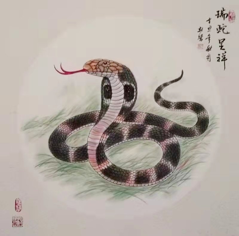 马新荣动物画作品瑞蛇呈祥